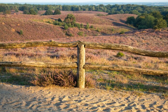 veluwe