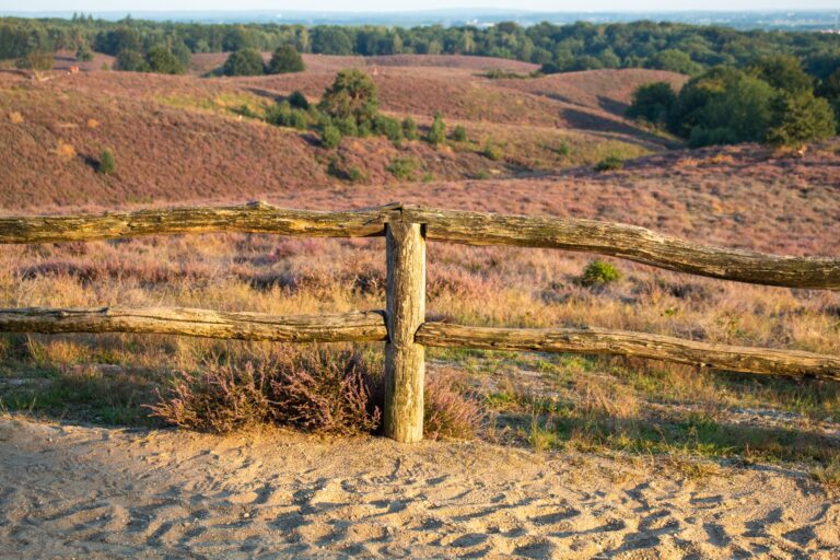 Mooie wandelroutes in Nederland: voor alle leeftijden