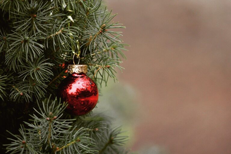 Mensen houden van de kerst