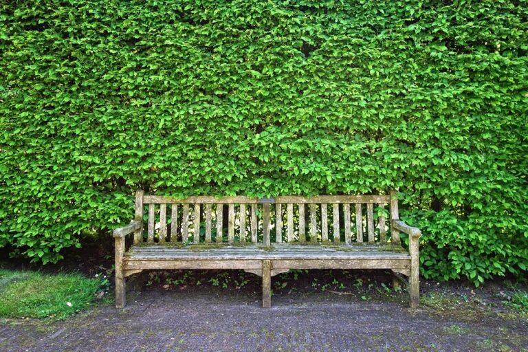 Waarom een beschermhoes tuinmeubelen bestellen?